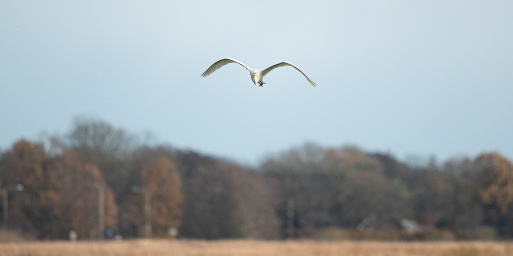 Fotohut grutte wiel 4