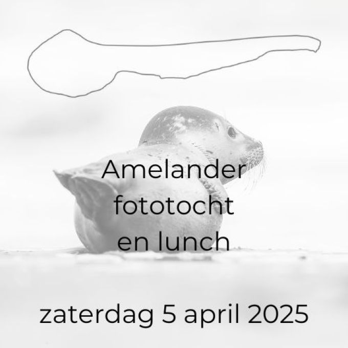 Ameland fototocht 5 april