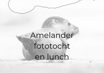 Ameland fototocht 5 april